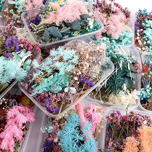 Mini buquês de flores secas, saco de material DIY de flores secas, flores secas e folhas em relevo,