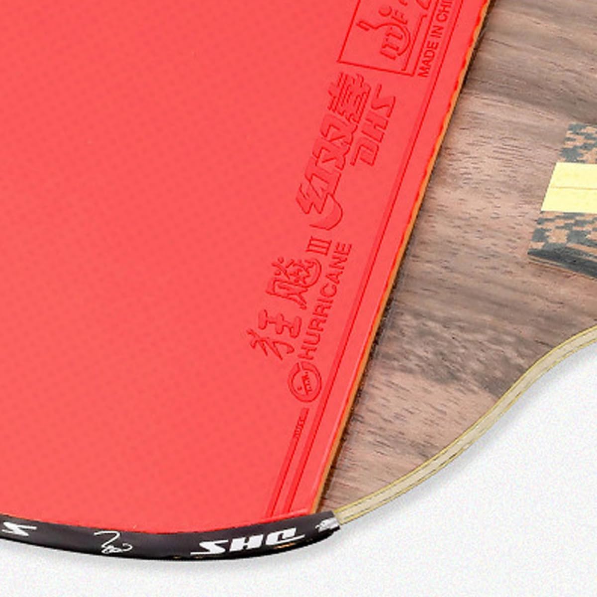 DHS 9 Star 9002/9006 Table Tennis Racket, Professional 5 Wood 2 ALC Offensive Ping Pong Paddle with Hurricane 3 Sticky Rubber (9002-FL-Longhandle)