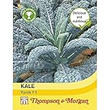 1 PC Potseed Thompson & Morgan - Kale yuroks Híbrido F1-30 Semillas