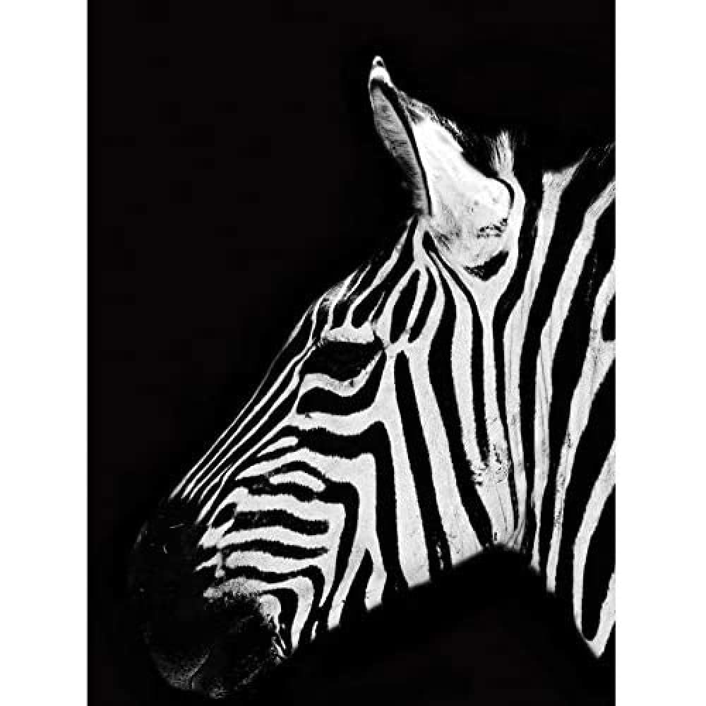 Artery8 Zebra Head Animal Black White Photo Unframed Wall Art Print Poster Home Decor Premium