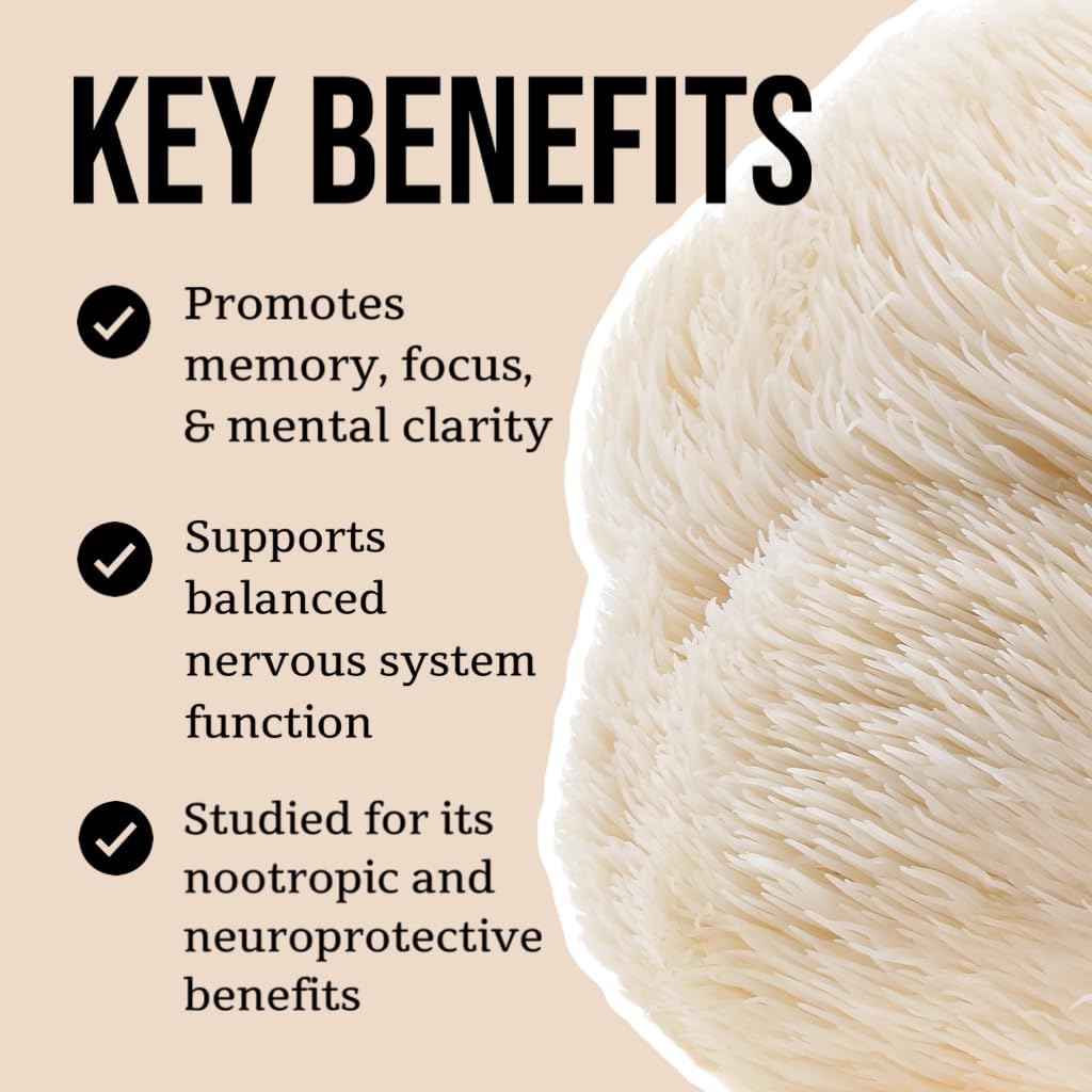 North Spore Organic Lion's Mane Mushroom Tincture (2 oz) | 100% Fruiting Body Extracts | for Focus, Memory, Brain Support | Certified Organic, Vegan, Non-GMO | Adaptogenic, Nootropic | Made in USA