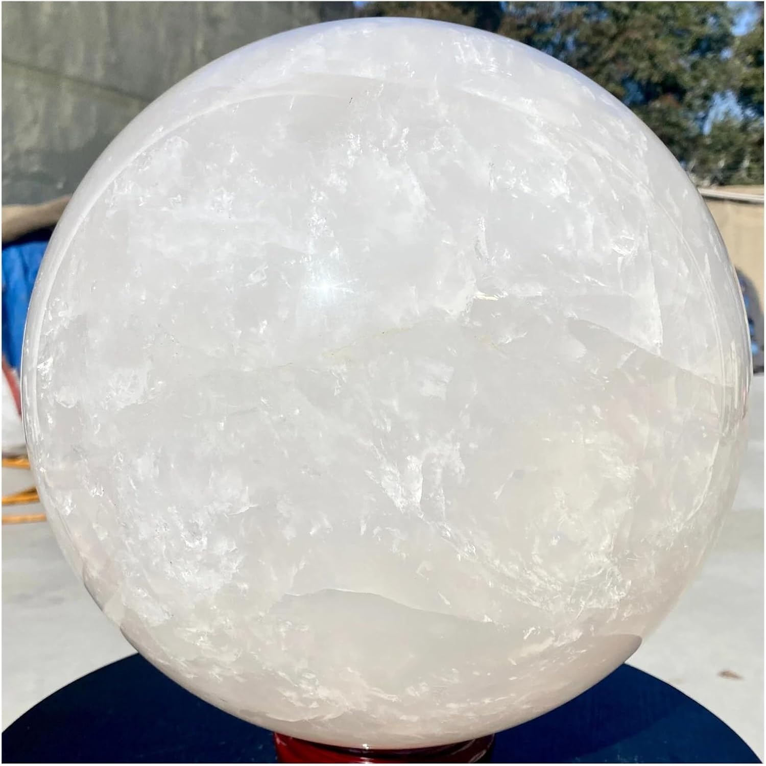 甲虫標本 カミキリムシ、オサムシほか66頭。大型ドイツ標本箱入り