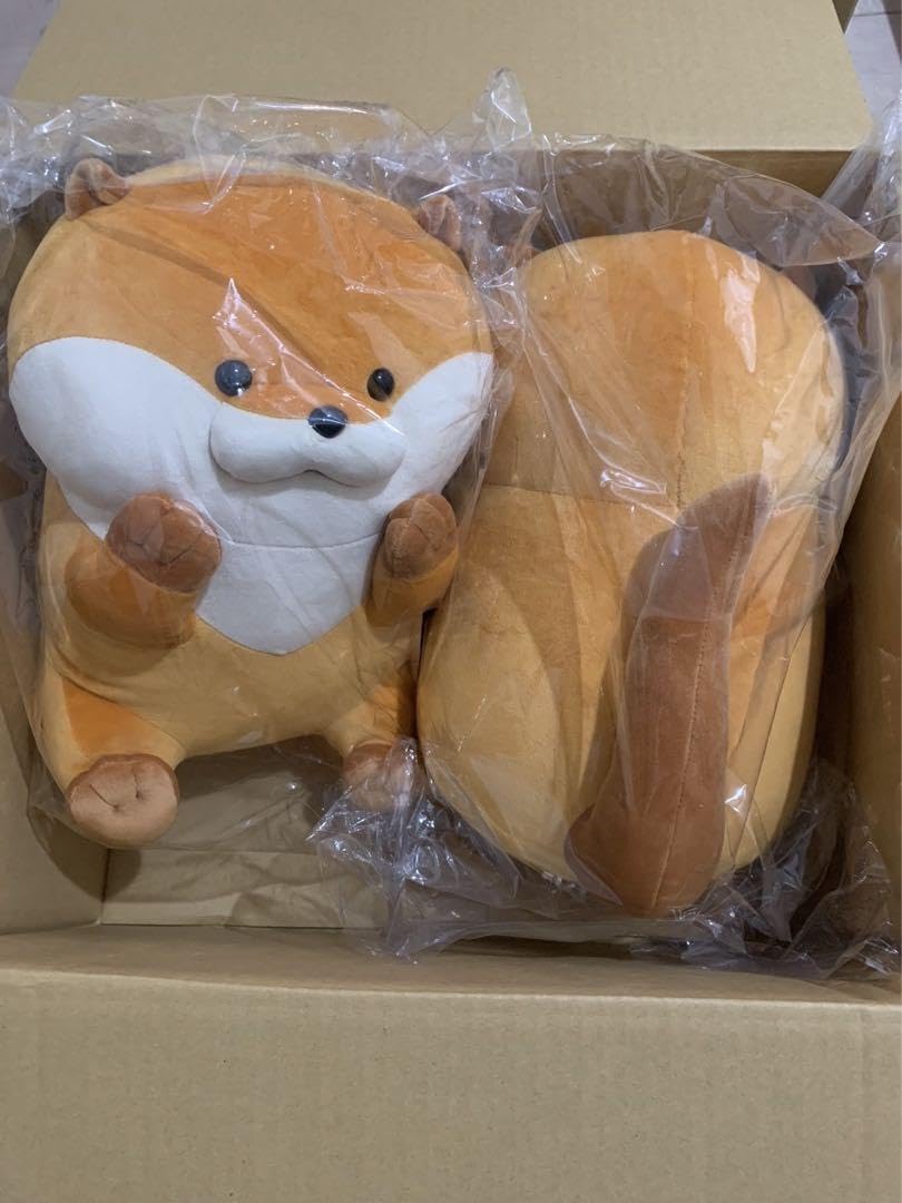 Amazon.co.jp: 可愛い嘘のカワウソ もちっと大きめぬいぐるみ : おもちゃ