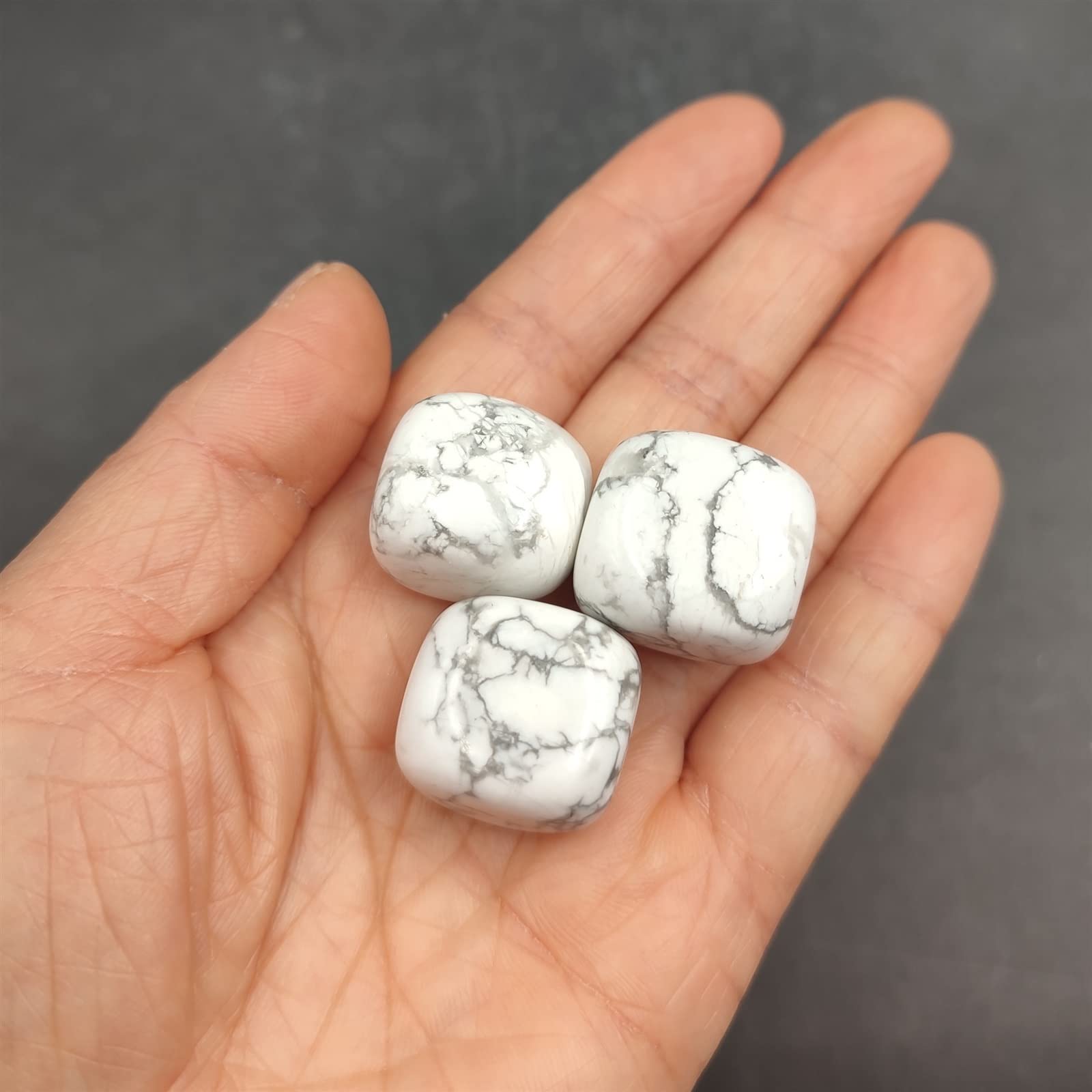 1pc Howlite Naturale Tumbled Stones Cristallo di Quarzo Pesce Vaso di Fiori Paesaggio Decorazione Pietra preziosa Ornamento for la casa Cristallo Collezioni di casa