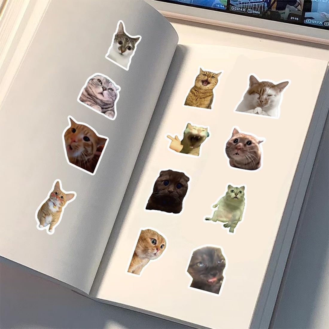 100 adesivi di meme di gatti, impermeabili e resistenti al sole, stampa ad alta definizione, stickers, stiker