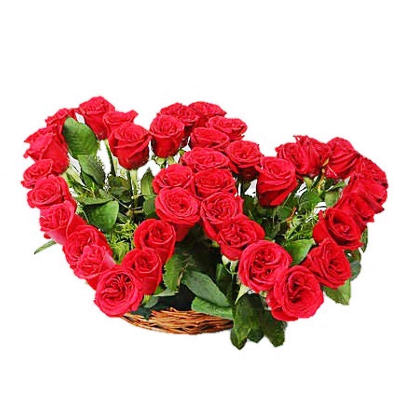 New Year Special Fresh Flowers Basket Arrangement of 45 Red Roses in Double Heart Shape || Bunch of 45 (Red)-image-41