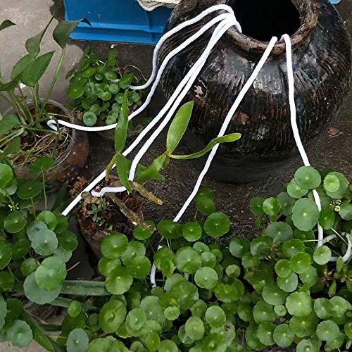Sonku Self Watering Wick Cord, 80 Feet Cotton String Rope for Self-Watering Planter Pot DIY Automatic Watering Device System Potted Plant Sitter Auto Drip Irrigation Waterer