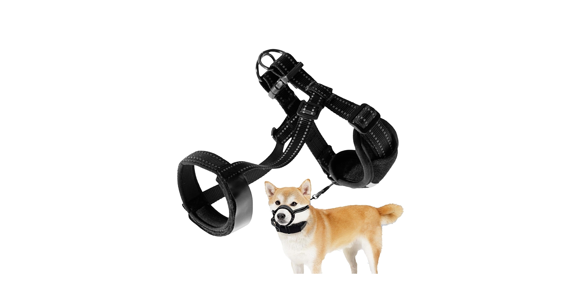 飼犬手噛 愛犬が手を噛む理由は？効果的なやめさせ方やコツを解説【ドッグ