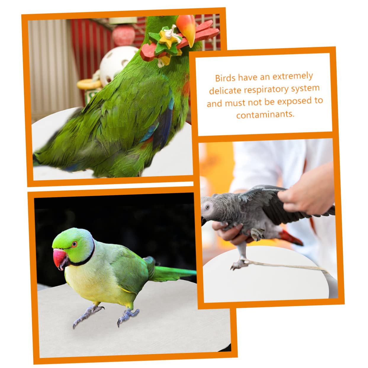 Toddmomy 100pièces Coussins Absorbants pour Cage à Oiseaux Feuilles Jetables pour Cage De Perroquet De Hygiénique Et Nettoyage Facile
