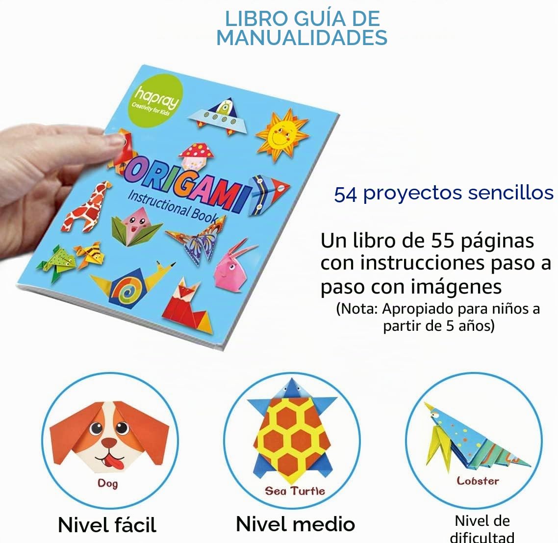 Kit de Origami 108 Hojas 14x14 cm Papel Doble Cara Vívido con Libro en Inglés para Principiantes