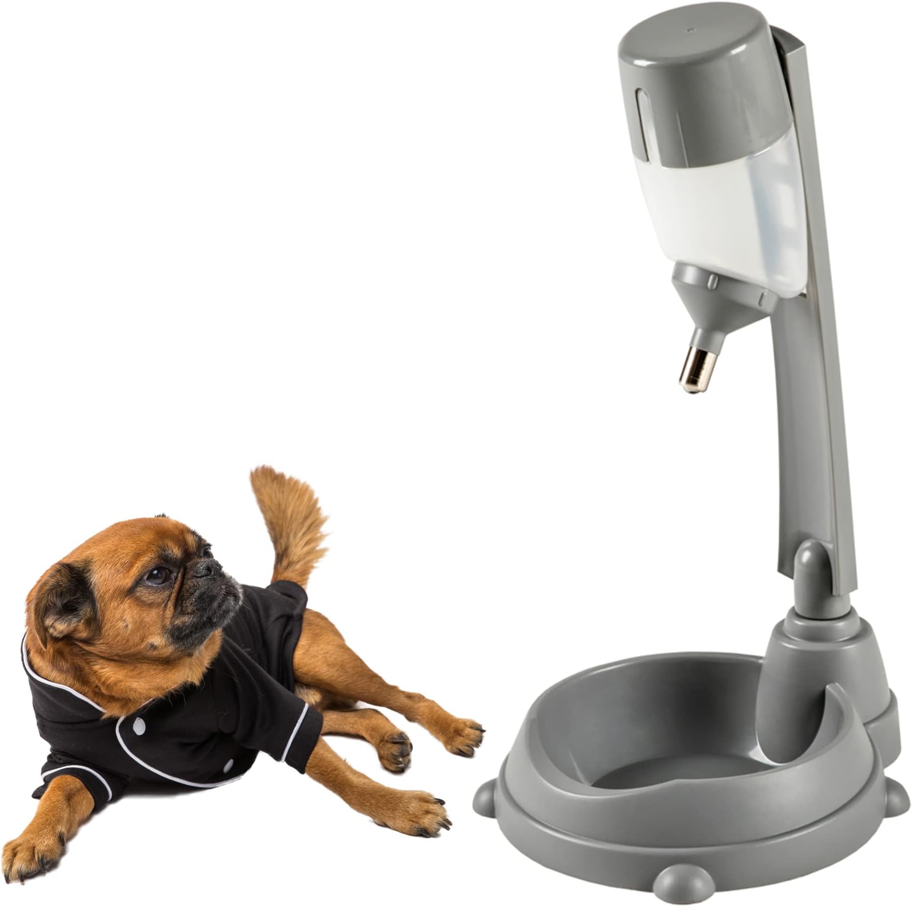 Pet Supplies UPIT Standing Pet Water Dispenser and Food Bowl Height