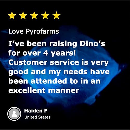 Miniatura 6 de DinoNutrient Paquete de 3 – Agua de mar filtrada del océano Pacífico con nutrientes para plancton bioluminiscente