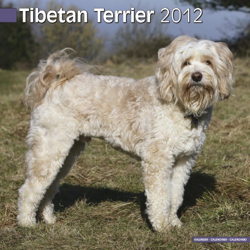 Calendario de tibetano terrier 2012, el regalo ideal para coleccionistas y amantes caninos