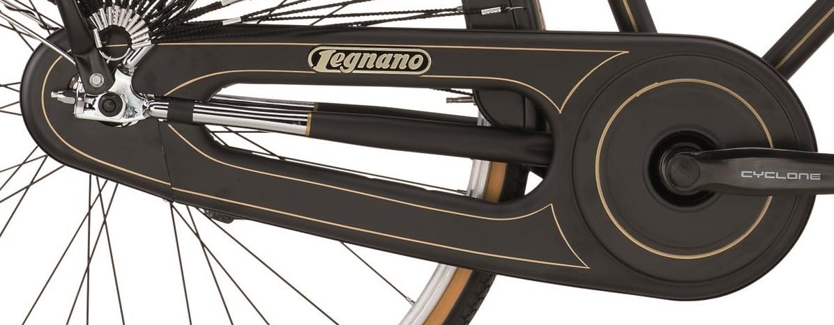 Legnano Ciclo 101 Urban, Bicicletta Vintage Donna, Nero, 44 : Amazon.it:  Sport e tempo libero