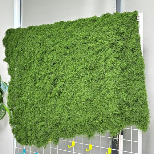 Artificial Green Moss Mat for Decoration Carpet Grass Wall, Natural Preserved Moss Mat, Green Moss Sheets for Crafts Woodland Decor Garden Party Decorations Wall Art DIY Project (19.68*19.68 inch)
