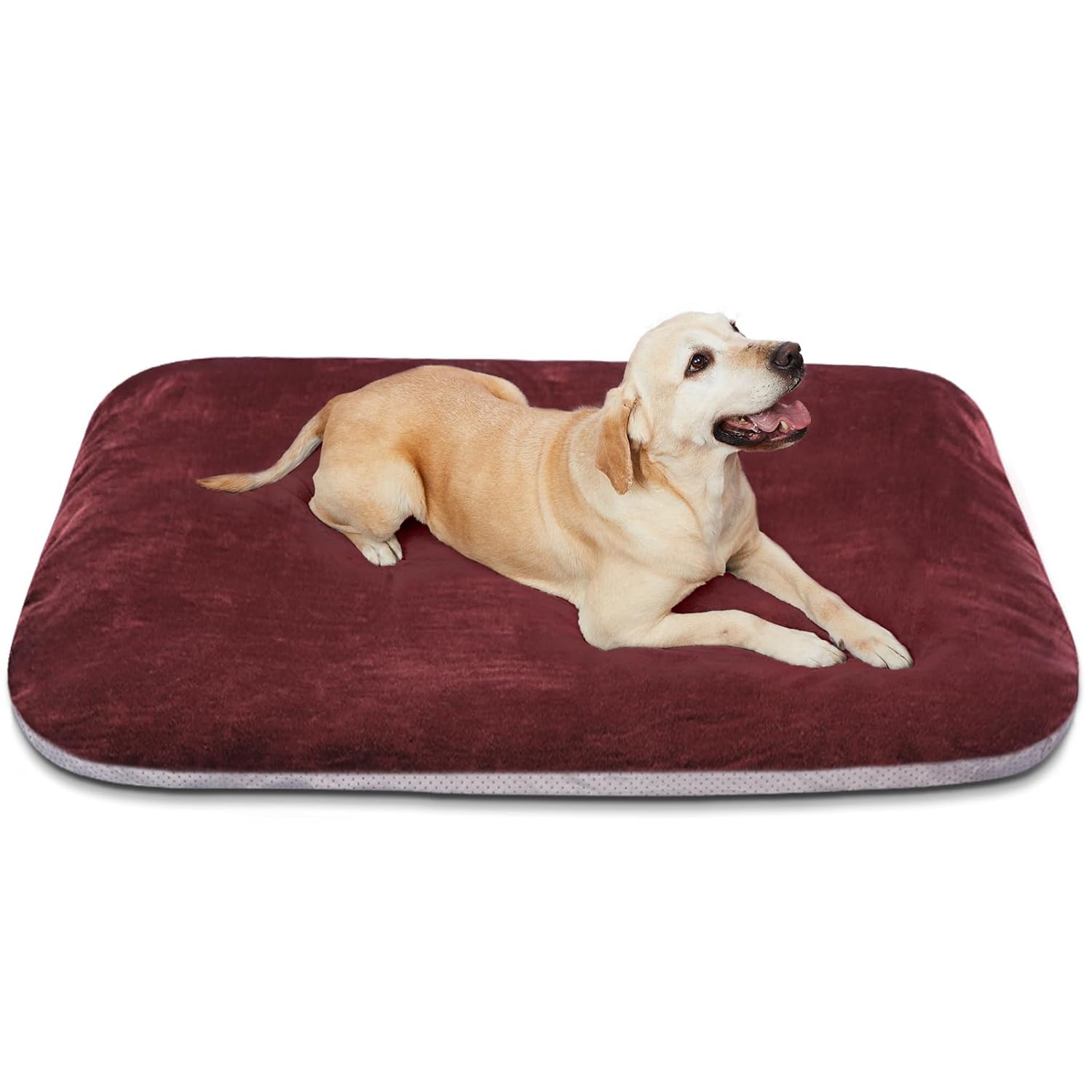 ROYALS RORE Dog Beds Orthopadic XXL Bed Waterproof Layer for Labrador, Bulldog, Retriever, Poodle, Large Breed dogbed 47X29X4 [Red] (B0CWY6NYHQ) Amazon Price History, Amazon Price Tracker