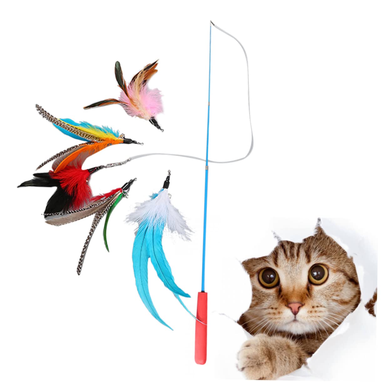 Yardwe 18 Stück 3 Katzen Zauberstab Spielzeug Katzenstock Katzenspielstab Spielzeuge -Spielzeug Katzenspielzeug Zauberstab Katzenrutenspielzeug einstellbar Katzen-Teaser Combo-Platte