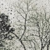  18 Sonidos De Lluvia Reparadora Para Mentes Inquietas