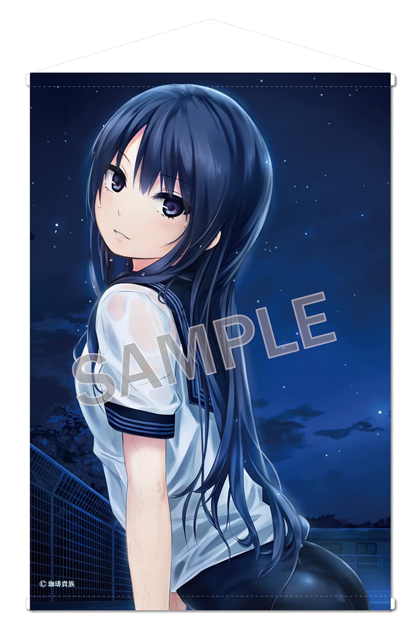 Amazon.co.jp: 珈琲貴族 SECRET NIGHT 白峰莉花 B2タペストリー : おもちゃ
