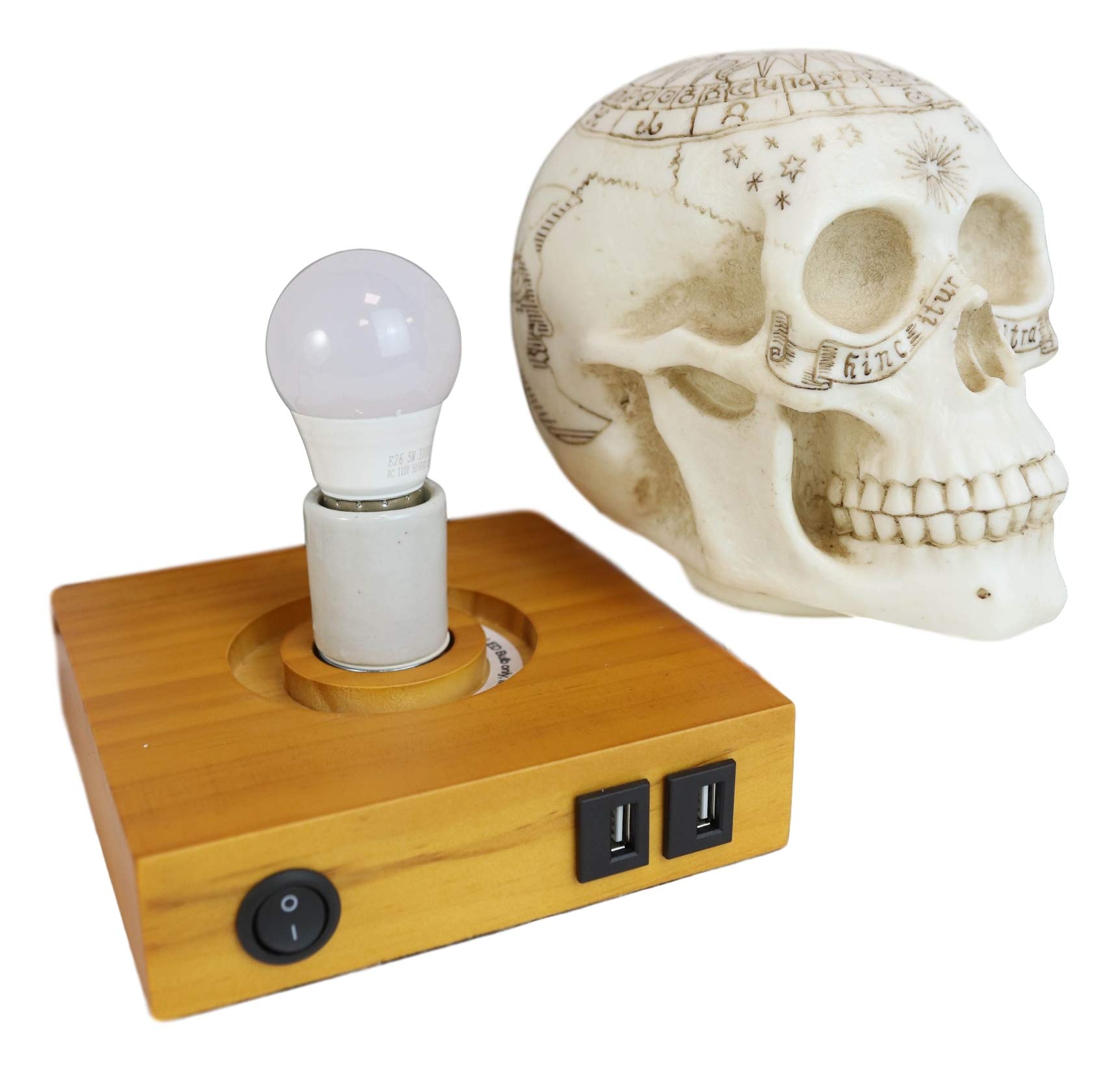 Amazon.co.jp : Ebros Gift Day of The Dead 占星術 星座 星座 星座