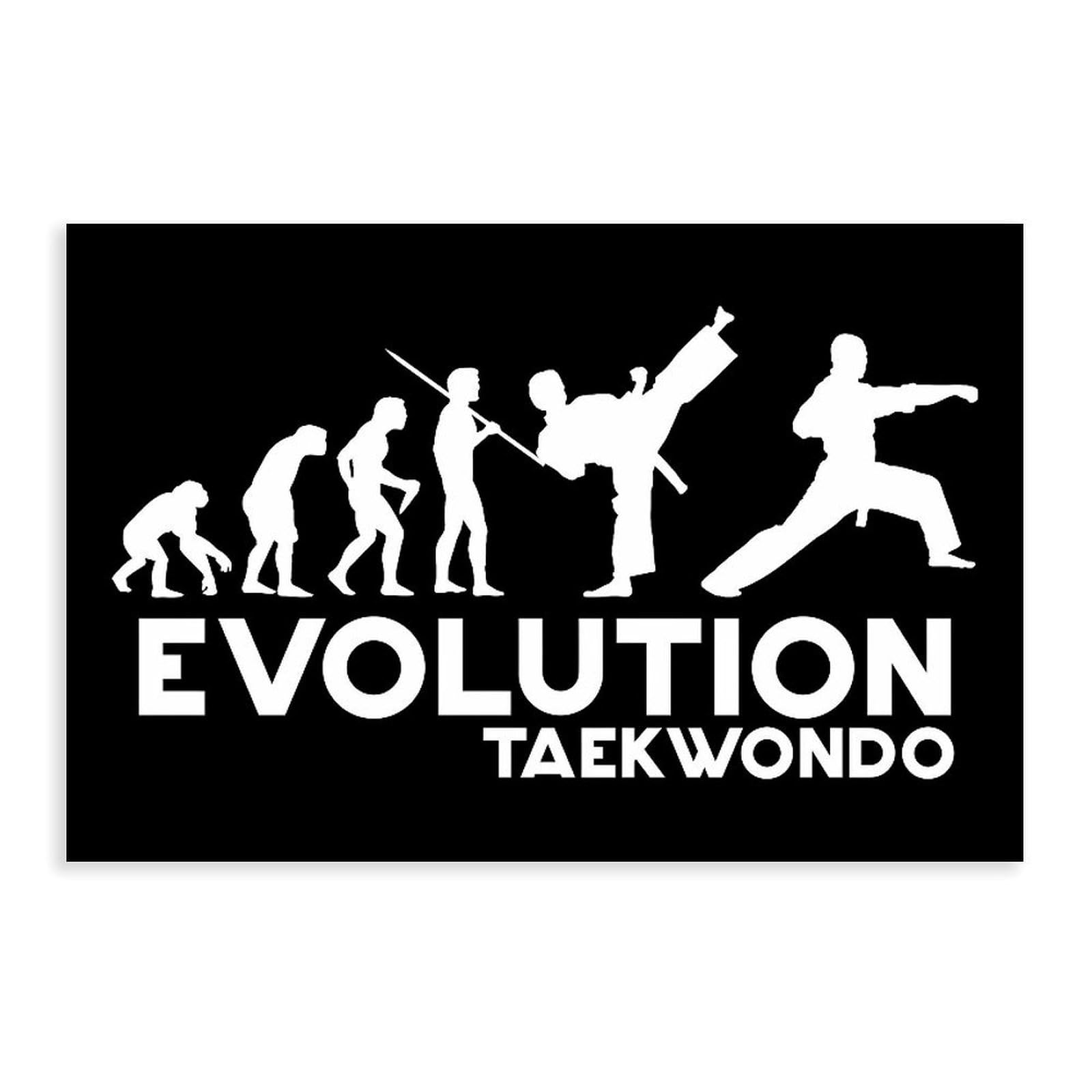 Qnvjqkdsi Unframe Taekwondo Evolution Art Canvas Poster Wall Art Decor Print Picture Paintings For Living Room Bedroom Decoration 24" L X 36" W