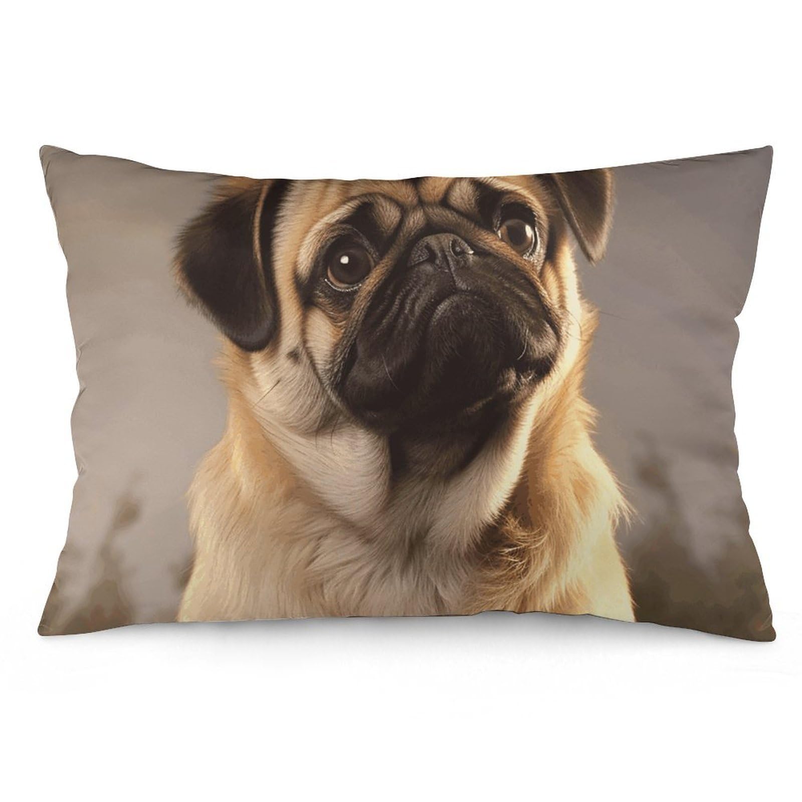 2 Pack Pillow Cases for Hair and Skin, Soft Breathable Pillow Case Covers with Hidden Zipper, Cute Pug Dog Pillowcase 12 "x20 Pillow Covers for Sleeping Gift