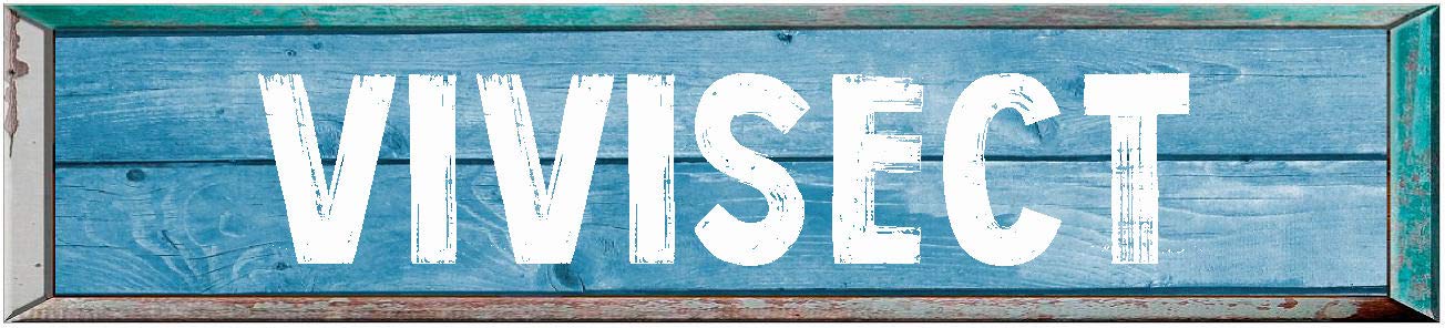 VIVISECT 8" Rectangle Blue Colored Weathered Painted Rustic Look Magnet for use on Any Steel Surface