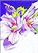 Caran dAche Neocolor Pastels (40 Colors)