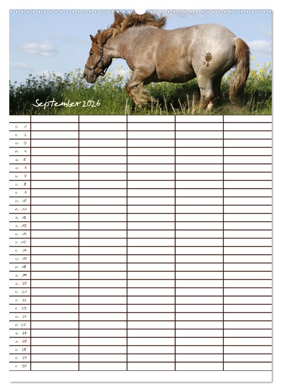 Der Kaltblut-Familienplaner (Wandkalender 2026 DIN A2 hoch), CALVENDO Monatskalender: Der Kaltblutkalender für die ganze Familie (CALVENDO Tiere)
