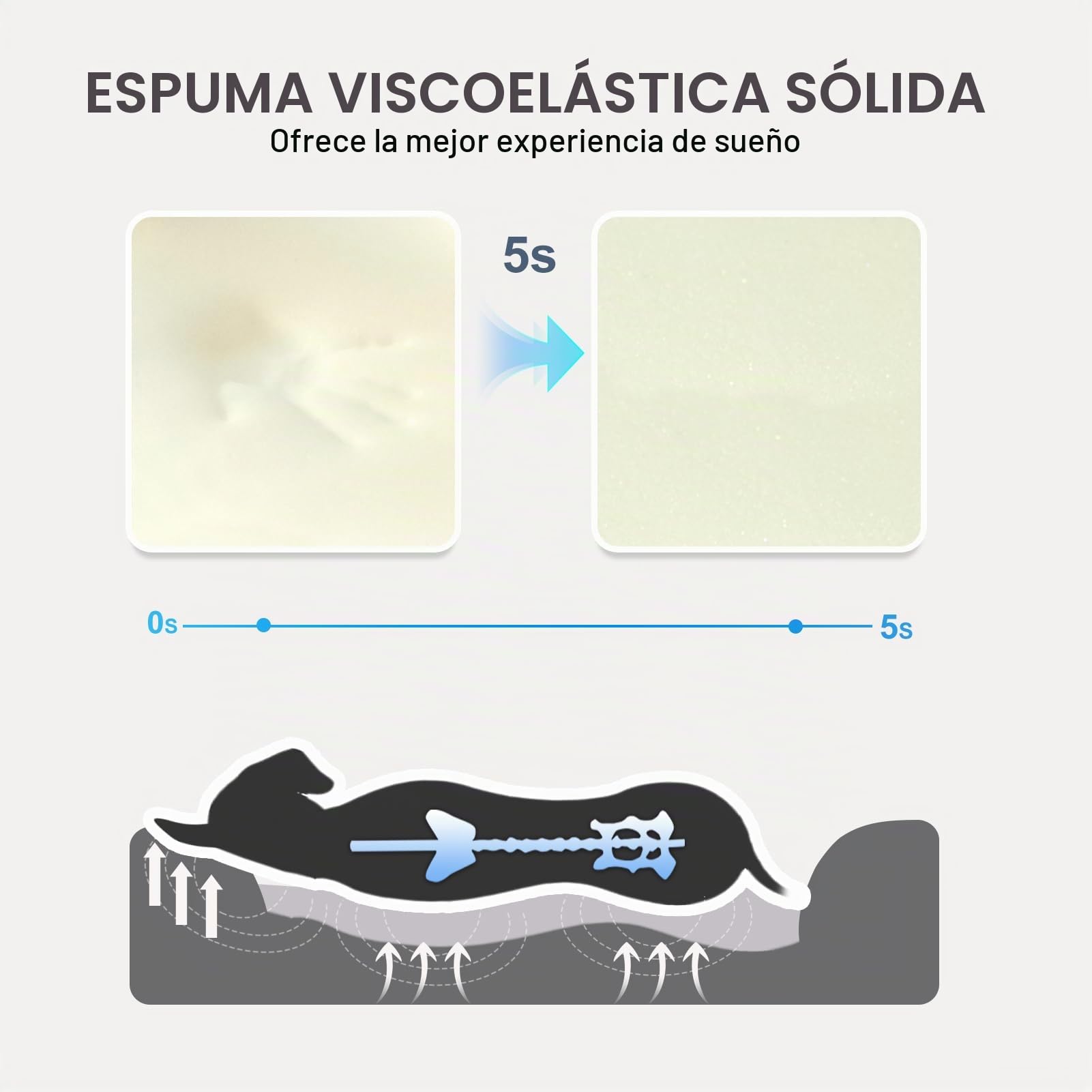 JOYELF Cama para Perro de Espuma viscoelástica Cama y sofá ortopédico pequeño para Perro con Funda Lavable extraíble y Juguetes chirriadores como Regalo
