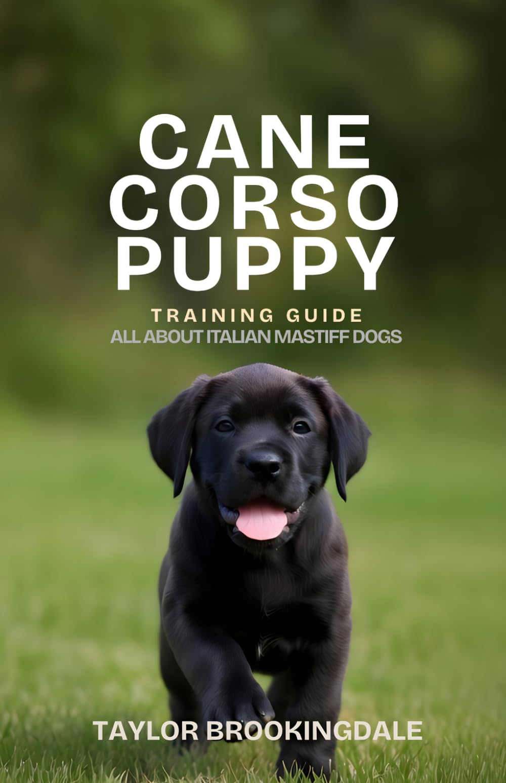 CANE CORSO PUPPY TRAINING GUIDE: All About Italian Mastiff Dogs: Positive Reinforcement Methods for House Training, Socialization & Core Commands for ... Yorkies, Golden Retrievers, Bulldogs & More)
