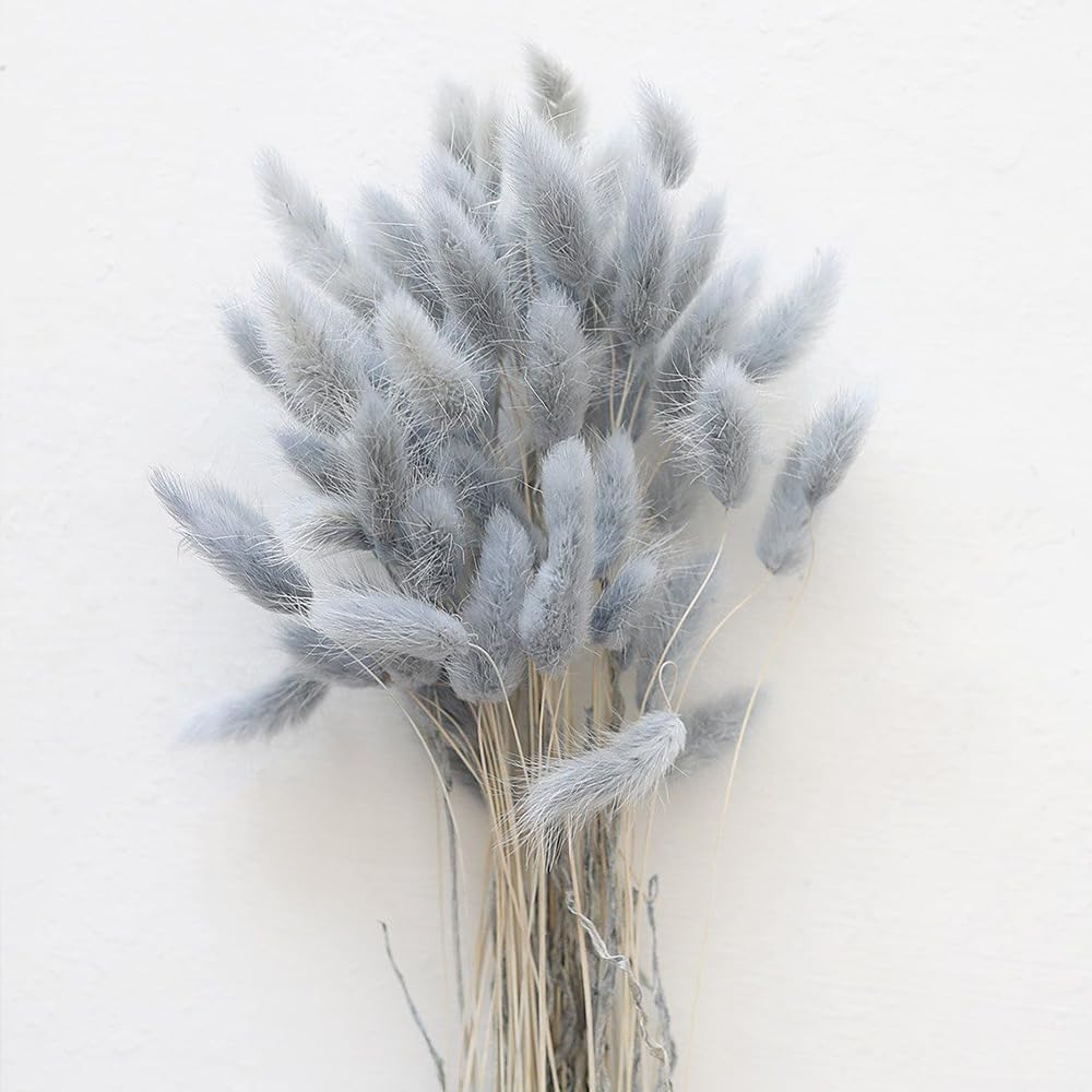60PCS Rabbit Tail Grass Dried Flowers Dried Natural Floral Arrangement ...