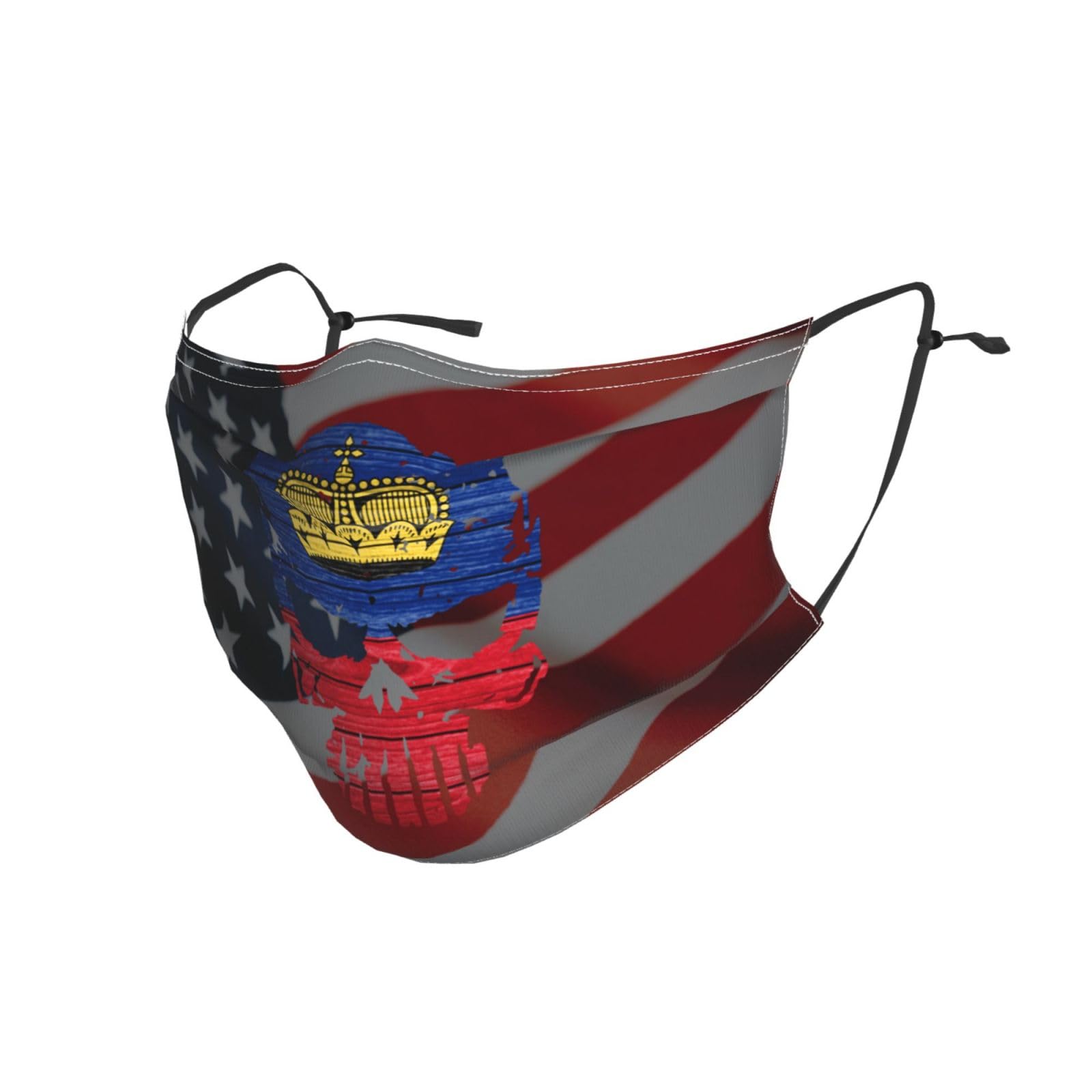 QFZ Liechtenstein Flag Skull Liechtenstein Reusable Dust Face Mask With 2 Filter