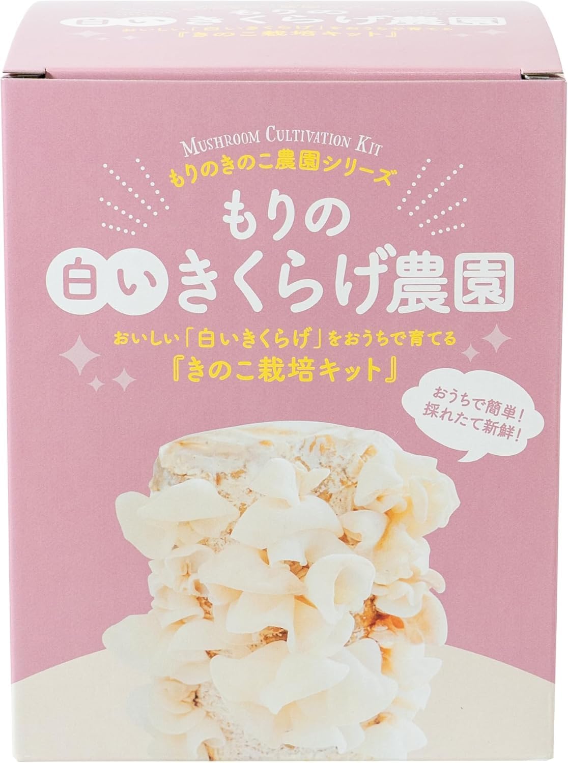 森のきのこ倶楽部 白キクラゲ菌床24個入り￥450＠ もりのきくらげ農園 栽培