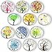 OOTSR 12 Imanes Nevera de Cristal 3D de Arbol de la Vida, 30mm Imanes para Refrigerador/ Pizarras Blancas/ Gabinete de Oficina Casa Colegio, para Decorativos el Hogar