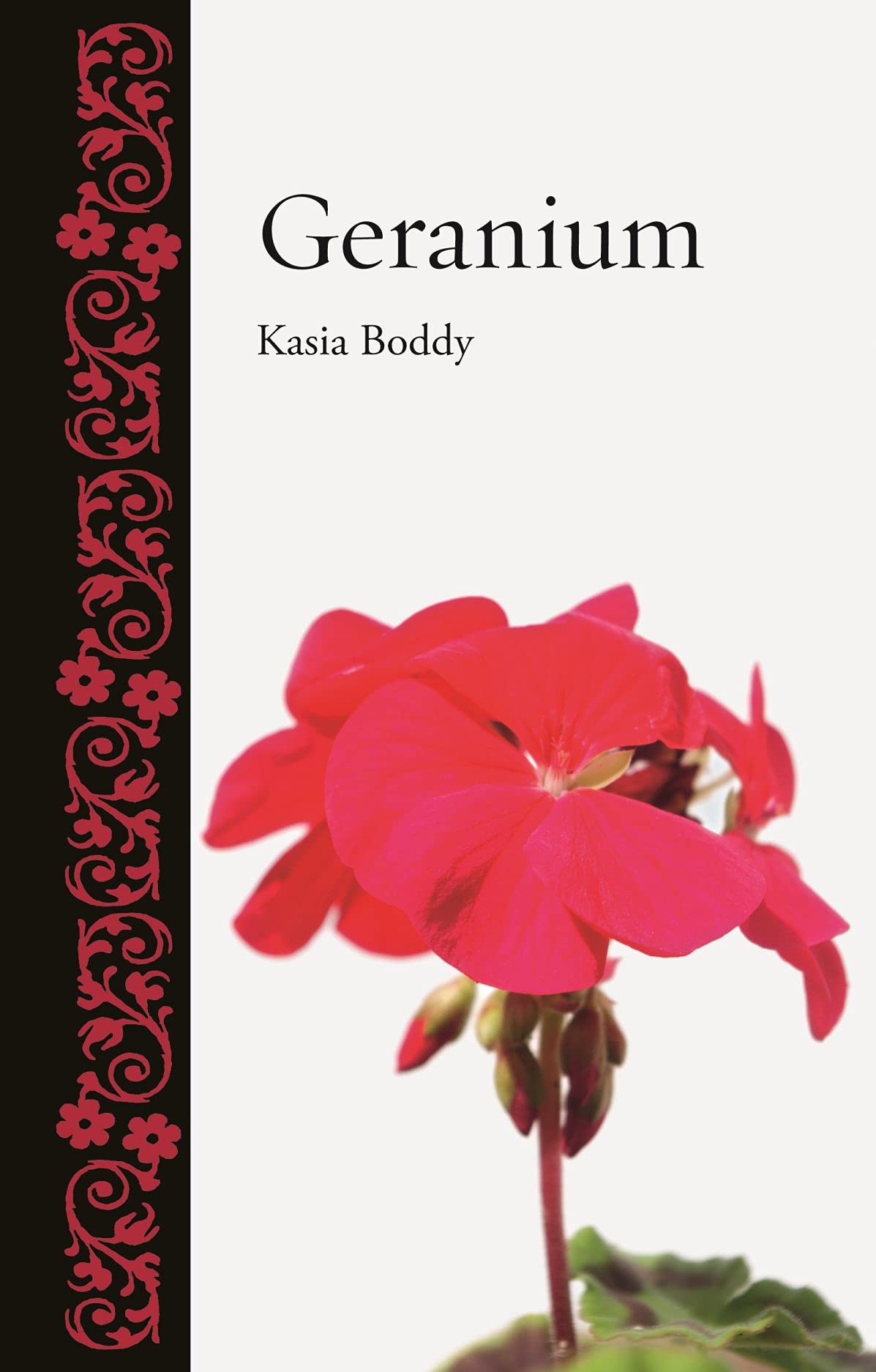 Geranium (Botanical),Kasia Boddy