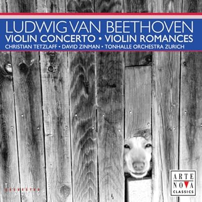 Violin Concerto