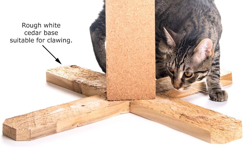 review Cat Scratching Post-24 Cork Post