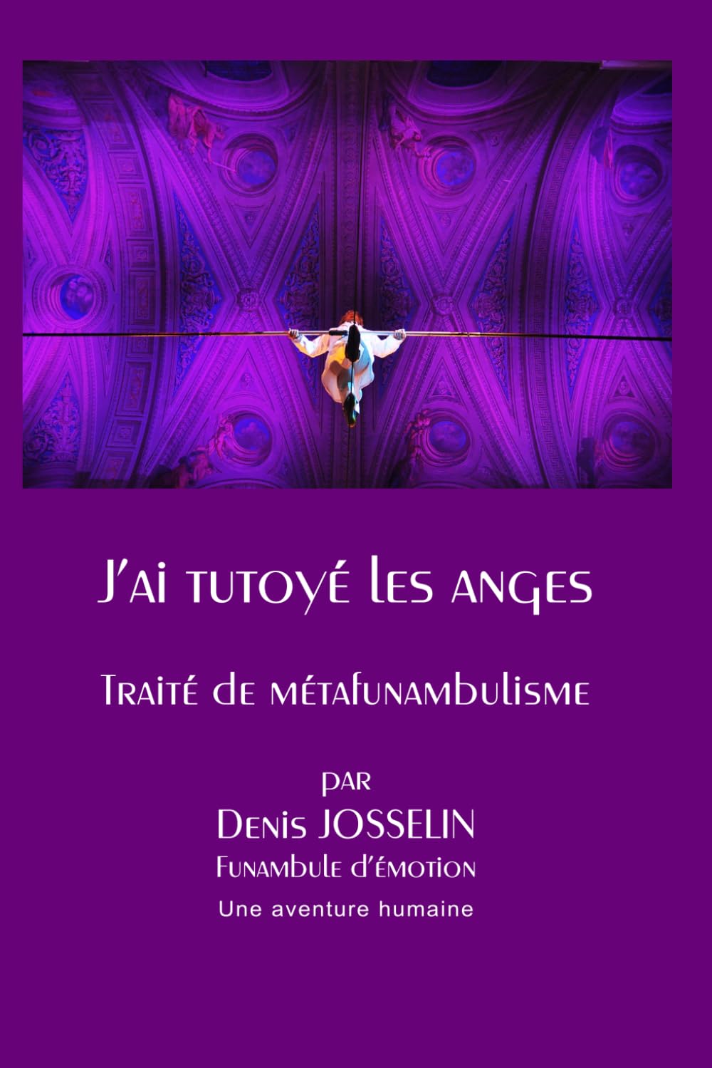 J'ai tutoyé les anges Traité de métafunambulisme