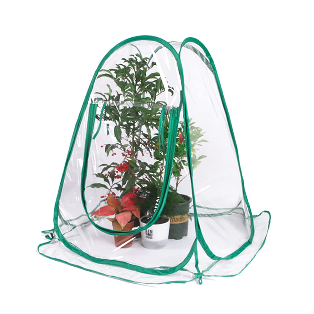 Invernadero mini de PVC impermeable contra heladas y lluvia para plantas de exterior