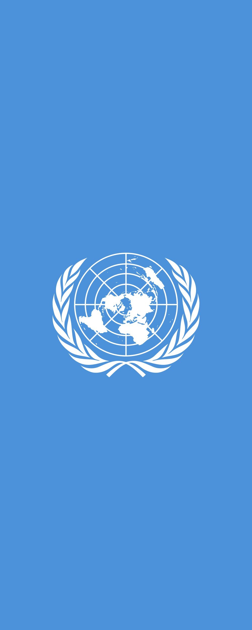 Drapeau ONU de 300x120cm pour pavoiser une mairie ou une école