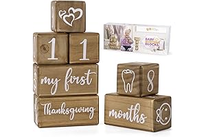 Baby Monthly Milestone Blocks for Your Precious Moments