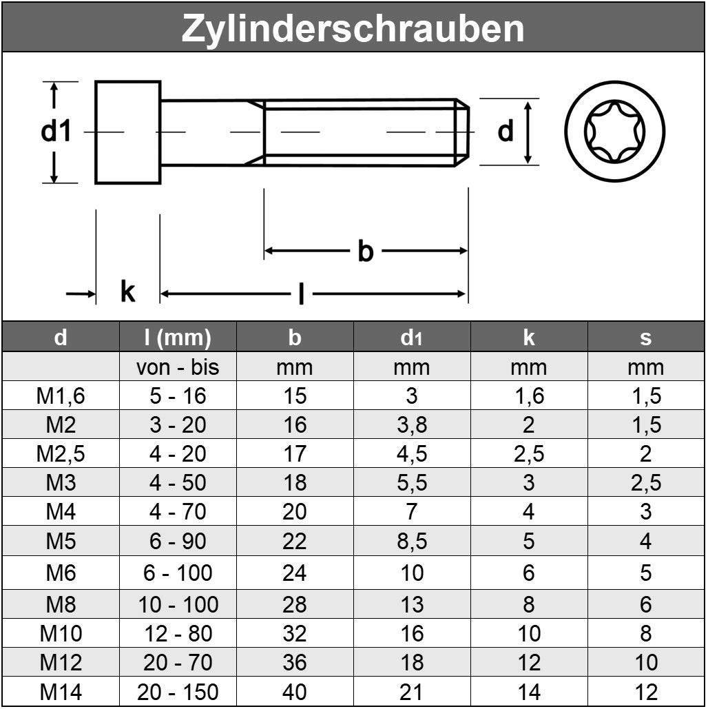 AGBERG - Viti a testa cilindrica M8 x 40 mm con esagono incassato (TX) e filettatura parziale - Viti a testa cilindrica [100 pezzi] in acciaio inox A2 V2A, antiruggine - ISO 14579 (DIN 912)