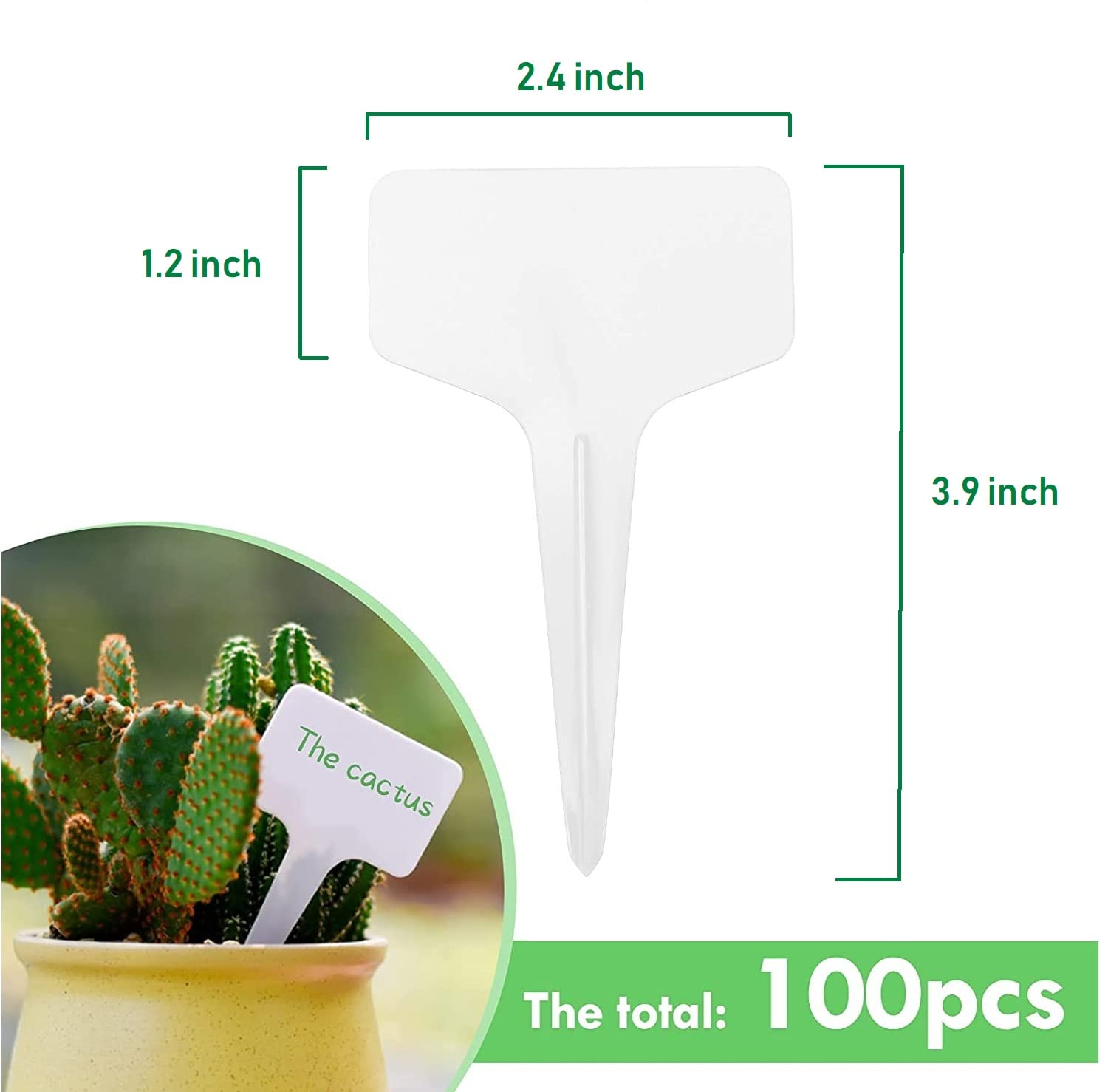 100 Etichette Per Piante In Plastica Bianca 6x10 Cm - Impermeabili, Riutilizzabili, Per Giardino, Vasi, Fiori, Semi, Orto E Erbe Aromatiche - 2
