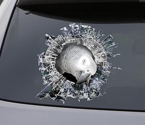 Adhesivo de vinilo gris africano para ventana, adhesivo de automóvil, loro para automóviles, ventanas, paredes, nevera, inodoro y más, 15 pulgadas