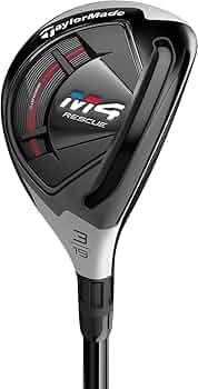 6198nZPLxgL._AC_UF350,