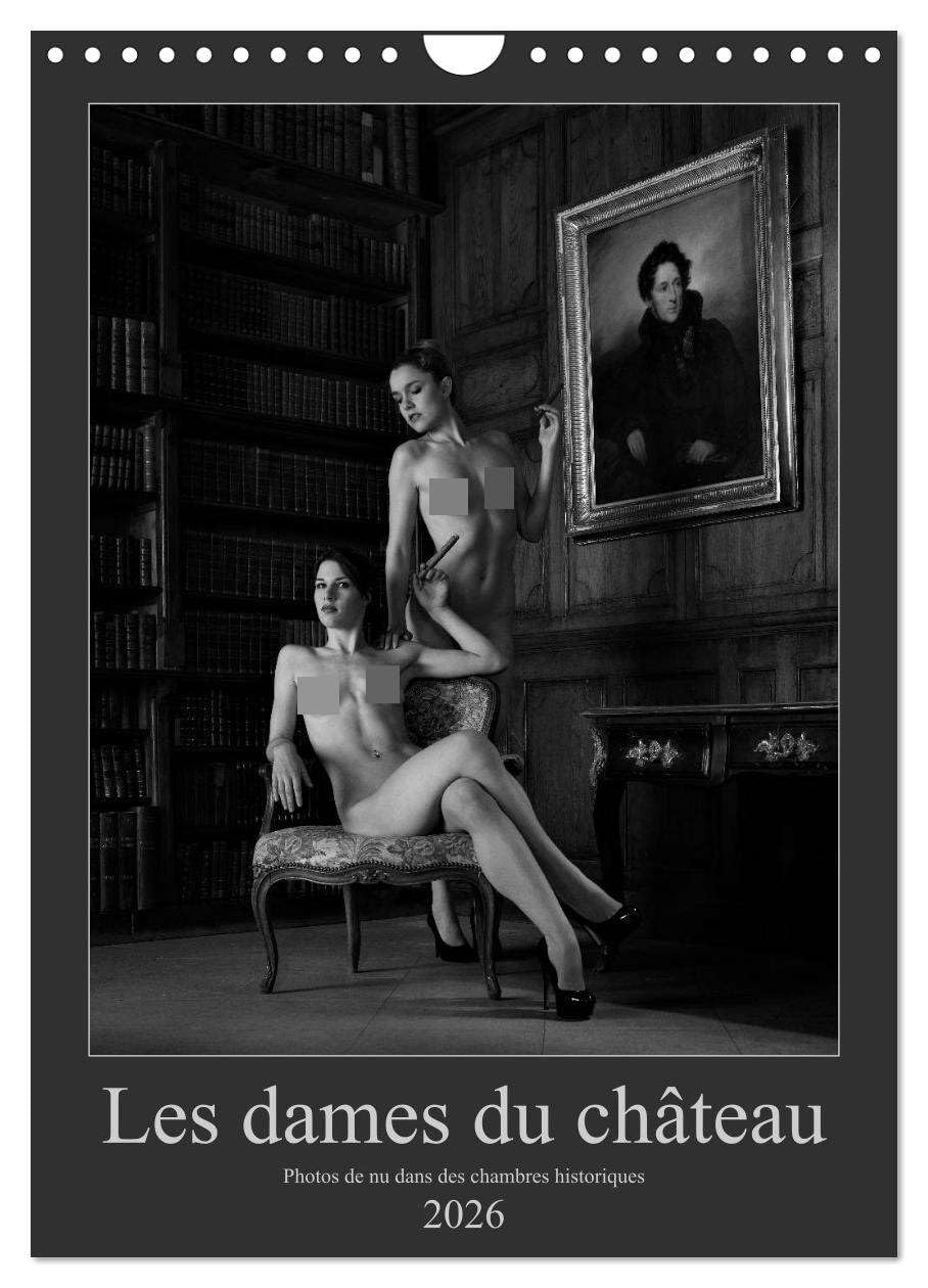 Les dames du château (Calendrier mural 2026 DIN A4 horizontal), CALVENDO calendrier mensuel: Photos érotiques dans des chambres historiques