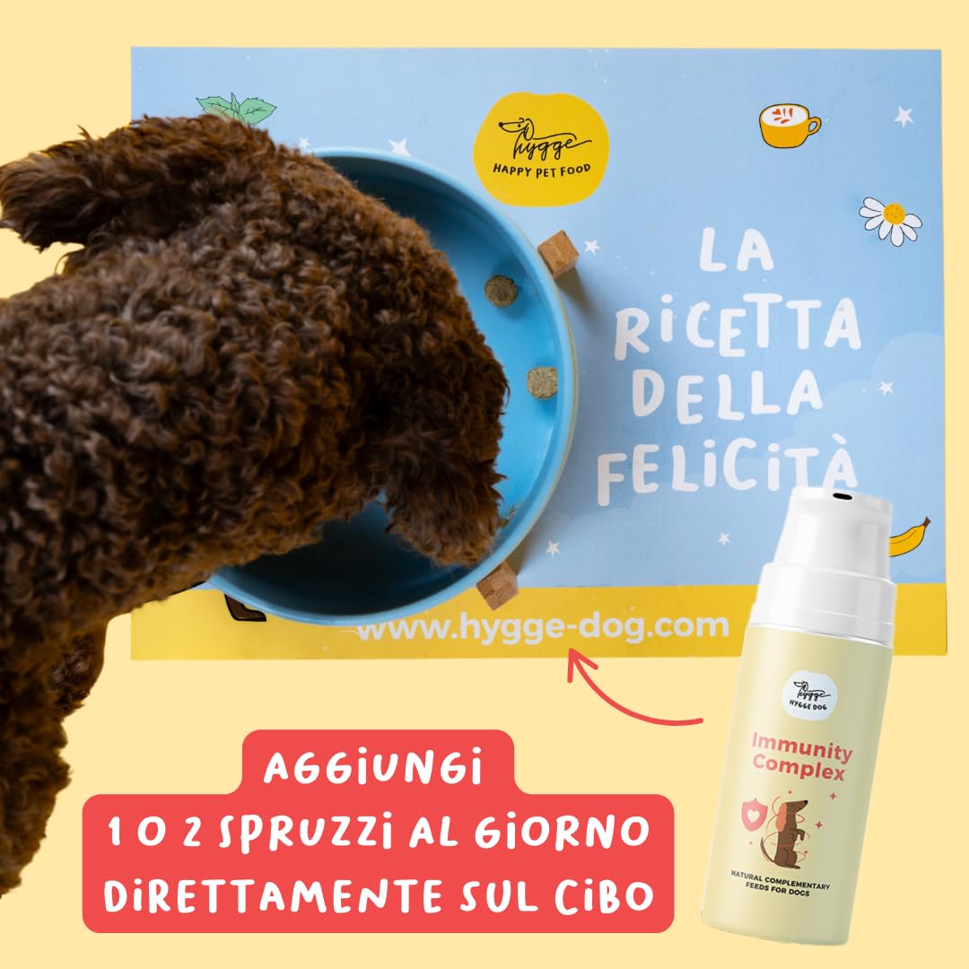 Immunity Complex | Complément immunitaire pour chiens | Topper liquide avec échinacée, propolis, ail et argousier | pour défenses naturelles et vitalité | 2x100 ml | Hygge Dog