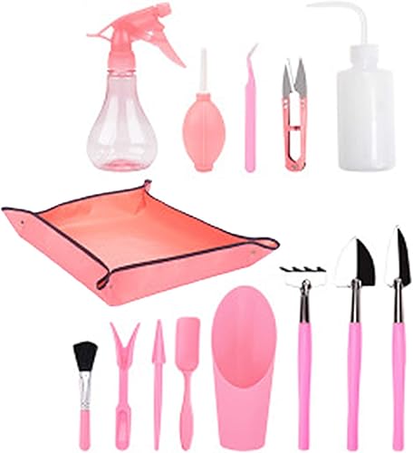 Kingsea Herramientas para plantas suculentas, 13 piezas Mini jardín trasplante mano herramientas suculentas y plantación de replantación, para