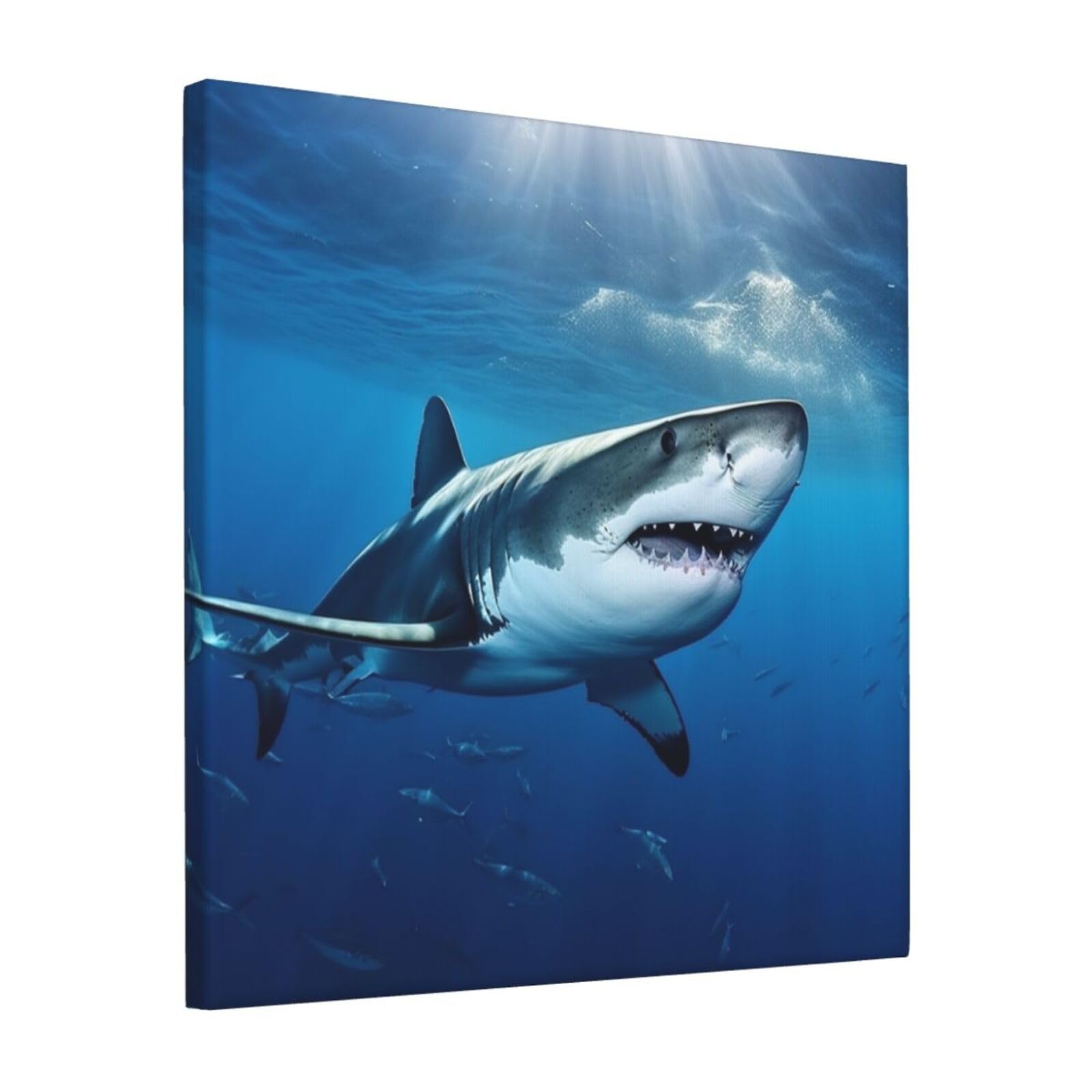 KLOPH Ocean Sea Animal Shark Canvas Wall Art for Living Room 12"x12" Modern Artwork Painting for Bathroom Hanging Canvas Prints Aesthetic Wallart for Bedroom Kitchen Office Wall Decor